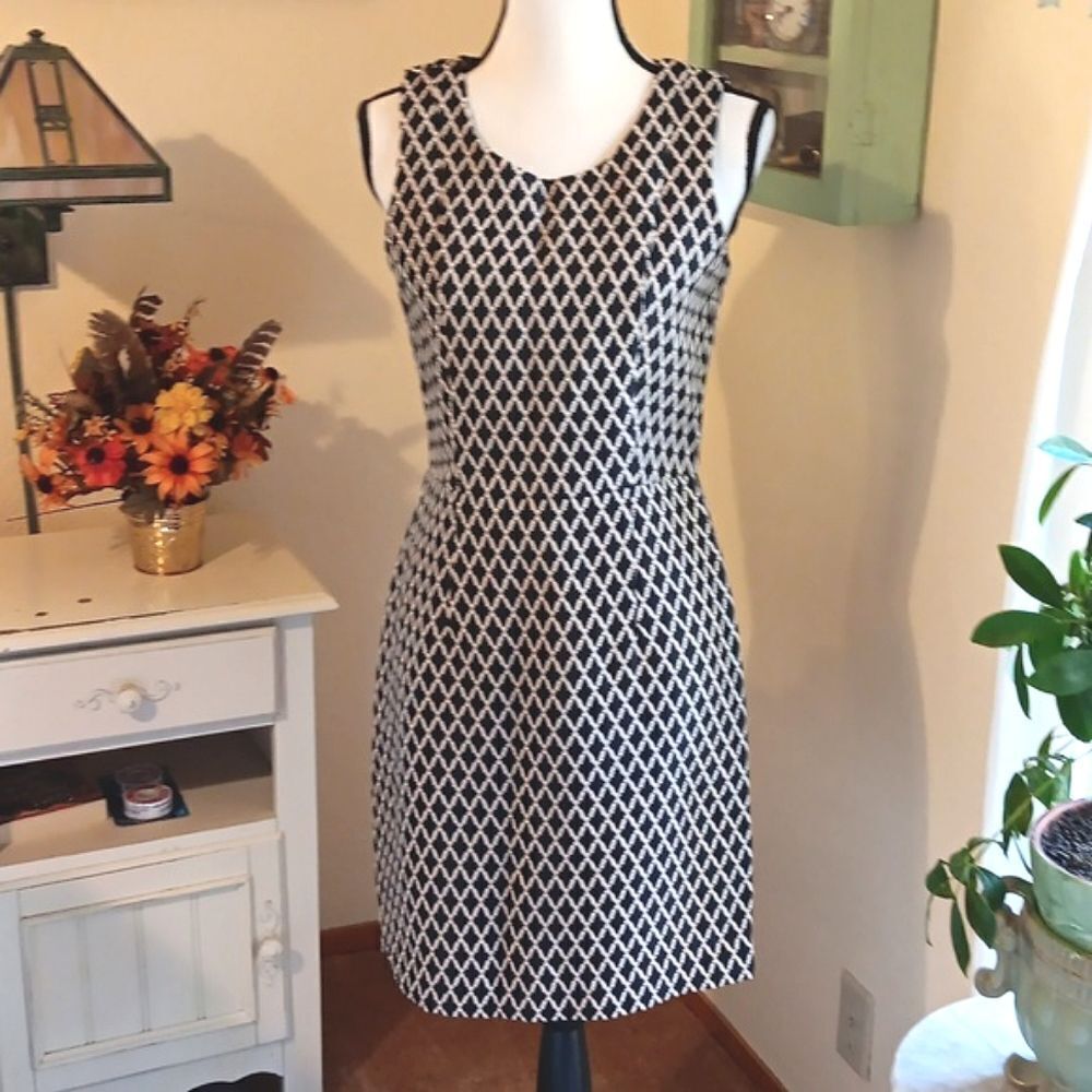 Banana Republic Sheath DressI